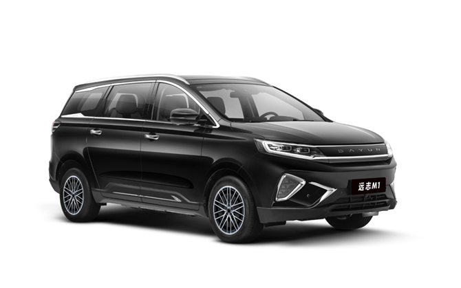 Dayun 2024 Yuanzhi M1 6 Seat 490 Standard